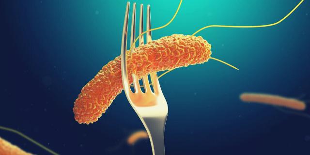 Tra le cause di tossinfezione alimentare, le salmonellosi sono tra le più comuni...