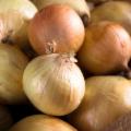 La Sicilia che resiste nei Presìdi Slow Food