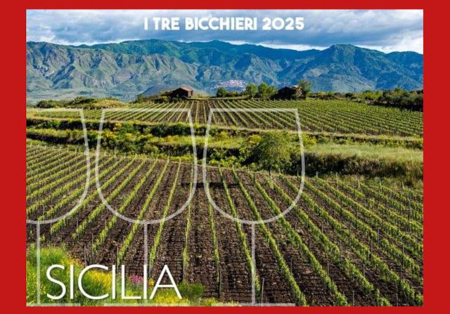 Questi sono i migliori vini siciliani del 2025 (secondo Gambero Rosso)