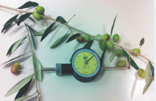 Penetrometro e dinamometro integrato