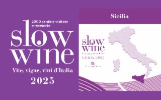 La Sicilia del vino nella guida Slow Wine 2025