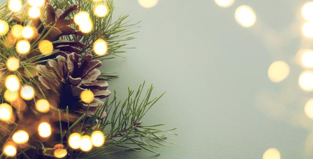 Anche se gli alberi artificiali richiedono un investimento iniziale maggiore, la loro durata li rende una soluzione economica a lungo termine.