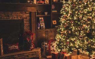 La guida più completa all'acquisto dell'albero di Natale perfetto per te!