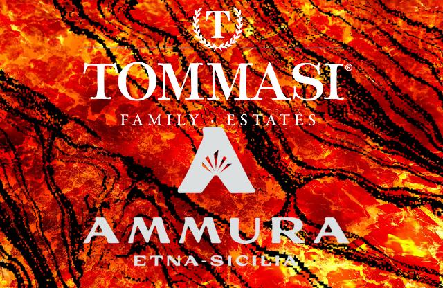 Ammura: la cantina veneta che si è innamorata dell'anima dell'Etna