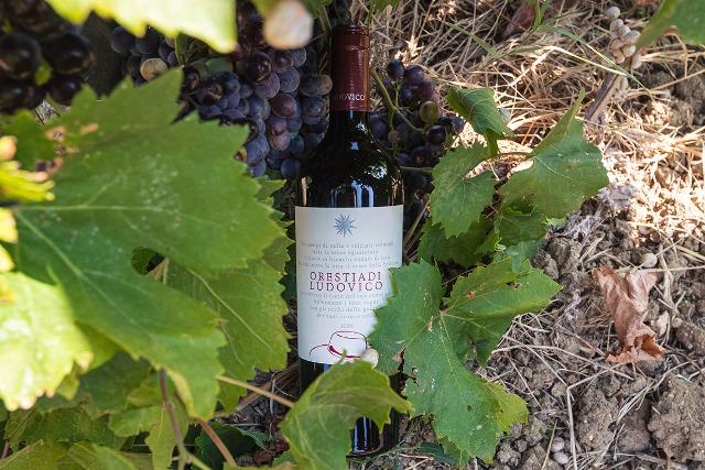 Il Rosso di Ludovico - Tenute Orestiadi
