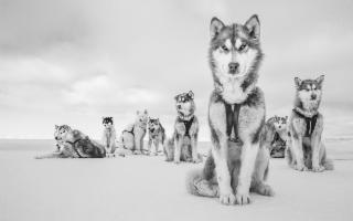 ''La grande saggezza'': le foto di Cristina Mittermeier alla GAM di Palermo