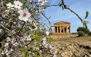 ''Mandorlo in Fiore 2026'': treni straordinari tra Agrigento, la Valle dei Templi e Porto Empedocle