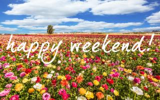 Cosa fare in Sicilia nel weekend?