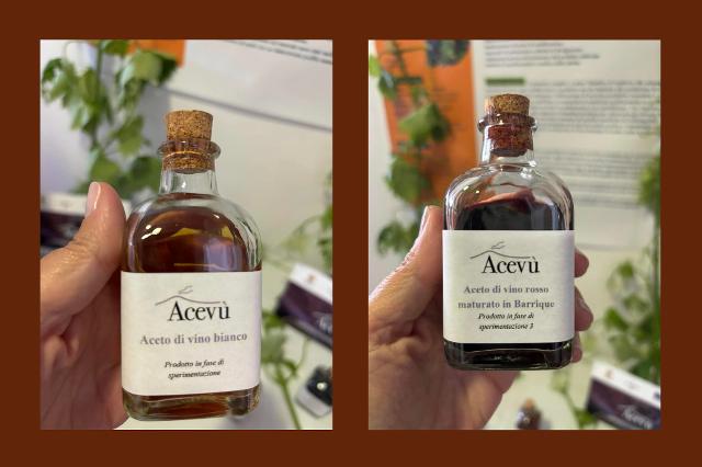 Ace.vù - Aceto di vino bianco e di vino rosso
