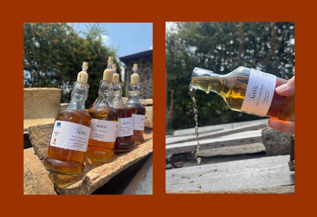 Ace.vù - Trasferimento di Innovazioni per produzione e la commercializzazione di aceto siciliano di qualità superiore