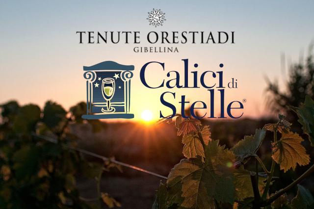 Calici di Stelle 2025: il Bianco di Ludovico brinda alla Capitale dell'Arte Contemporanea