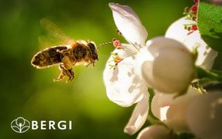 In vacanza sulle Madonie, dove il miele guarisce e la natura accoglie