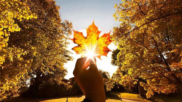 L'Autunno siciliano come un nuovo inizio