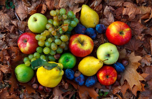 Ricca di minerali, vitamine, fibre, antiossidanti, e tanto gusto, la frutta autunnale è una preziosa alleata nel contrastare l'invecchiamento e nella prevenzione di diverse malattie...