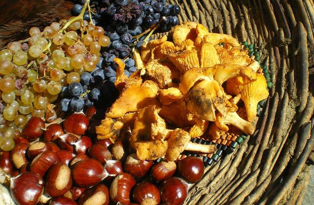 Natura e tradizione autunnale in Sicilia