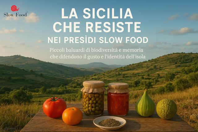 La Sicilia che resiste nei Presìdi Slow Food