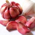 La Sicilia che resiste nei Presìdi Slow Food