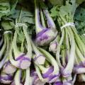 La Sicilia che resiste nei Presìdi Slow Food