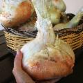 La Sicilia che resiste nei Presìdi Slow Food