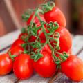 La Sicilia che resiste nei Presìdi Slow Food