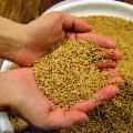 La Sicilia che resiste nei Presìdi Slow Food