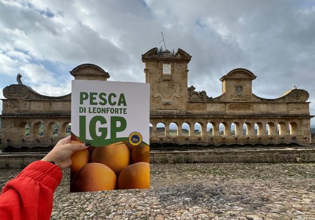 Pesca di Leonforte IGP