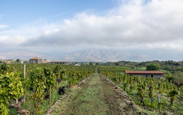 Palmento Costanzo, Contrada Santo Spirito, Passopisciaro Palmento Costanzo, Contrada Santo Spirito, Passopisciaro