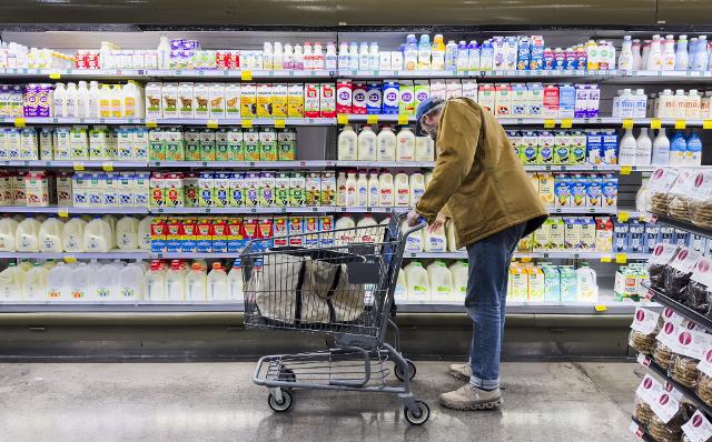 Con il Bonus Single, giovani tra 18 e 31 anni potranno beneficiare di crediti d'imposta aggiuntivi e detrazioni extra per favorire l'indipendenza abitativa e la mobilità lavorativa.