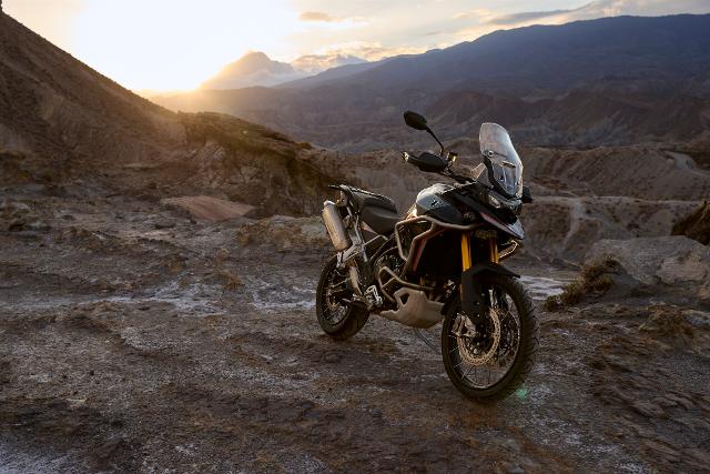 I prezzi delle nuove Tiger Alpine & Desert Edition (da gennaio 2026)