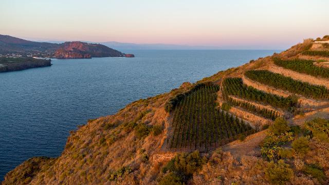 Vigneti terrazzati che sembrano sfiorare il mare, muretti in pietra lavica e suoli chiari di matrice pomicea: è in questo paesaggio sospeso tra acqua e fuoco che prende vita la Malvasia delle Lipari DOC di Tenuta di Castellaro, nel cuore delle Isole Eolie... Vigneti terrazzati che sembrano sfiorare il mare, muretti in pietra lavica e suoli chiari di matrice pomicea: è in questo paesaggio sospeso tra acqua e fuoco che prende vita la Malvasia delle Lipari DOC di Tenuta di Castellaro, nel cuore delle Isole Eolie...