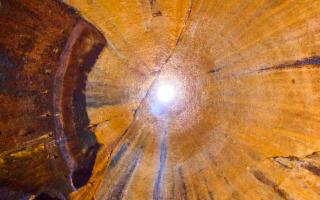 Al Museo Civico di Alia: cosa vedere nel cuore della Sicilia, tra memoria e arte contemporanea