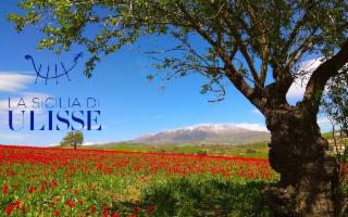 Pasqua (e non solo) in Sicilia: la memoria del gusto tra tradizione, natura e nuove esperienze