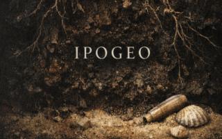 Ipogeo, il nuovo piatto di Pino Cuttaia: la profondità diventa visione