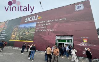 Vinitaly 2026: la Sicilia del vino protagonista con 164 cantine