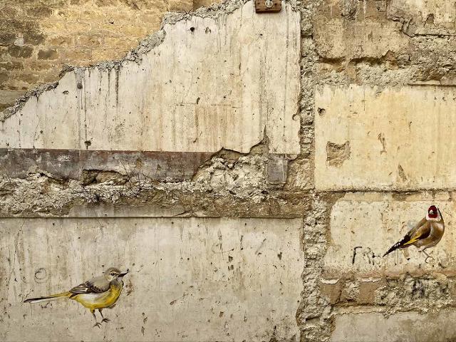 Particolare del murales dell'artista Igor Scalisi Palminteri nel quartiere Provvidenza, Caltanissetta