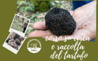 Cercare e raccogliere i tartufi in Sicilia: a Palermo un corso per conseguire il patentino
