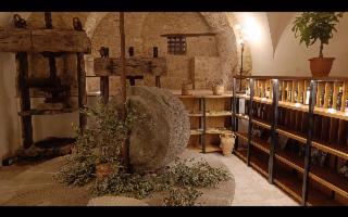 La Banca dell'Olio delle Madonie diventa anche multimediale