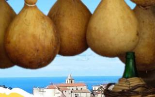 Sagra della Provola Basicotana