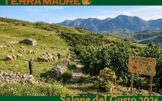 La Sicilia dei nuovi Presìdi Slow Food a Terra Madre 2026